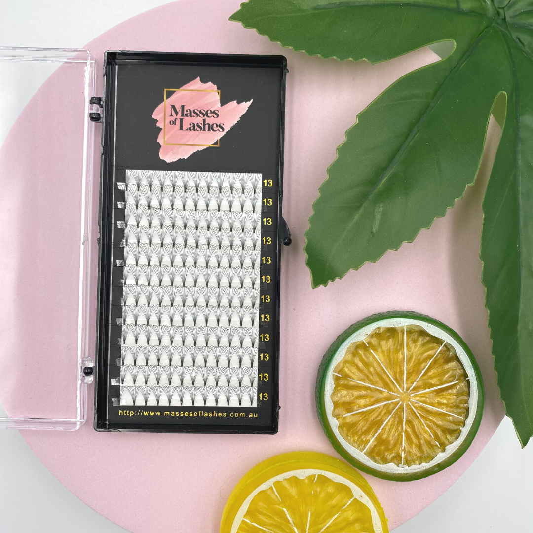 MOL - Short Stem Pre-made MEGA Volume Lashes 0.05 - Silk