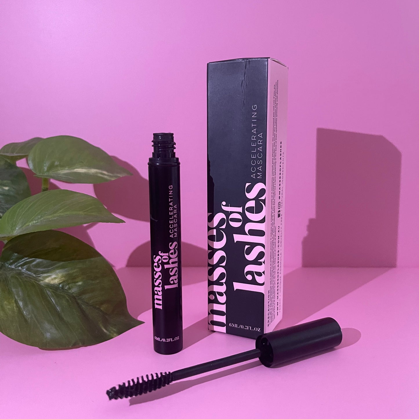 MOL - Lash Acceleration Mascara 6ML